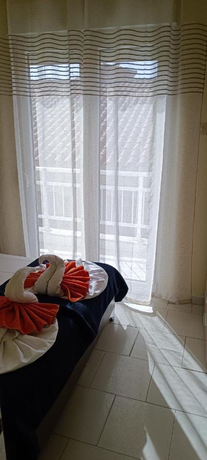 Hotel Tassos-Despina 佩科霍里 外观 照片